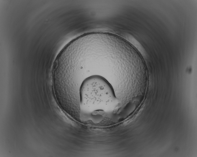 X0000091241436200708231707