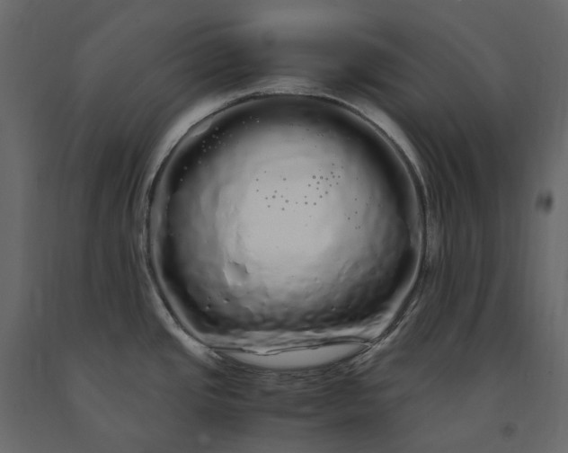 X0000091241437200708231707