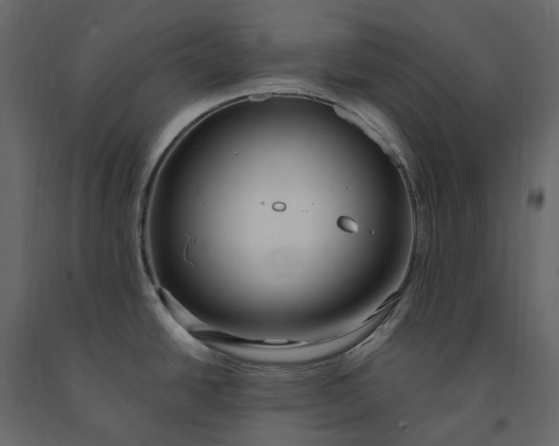 X0000091241438200708231707