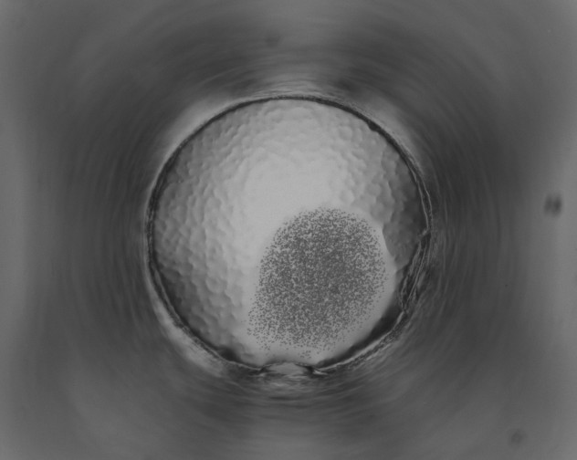 X0000091241439200708231707