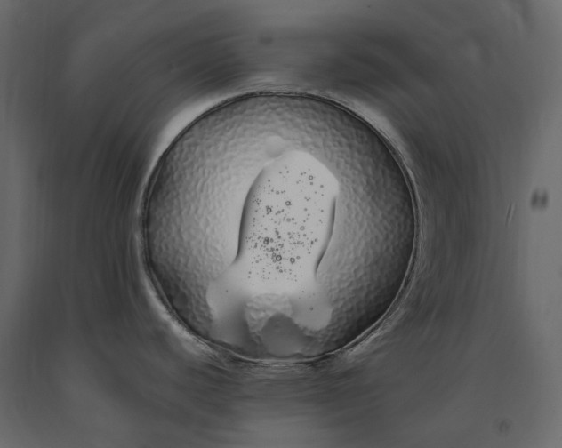X0000091241440200708231707