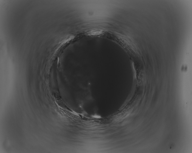 X0000091241441200708231706