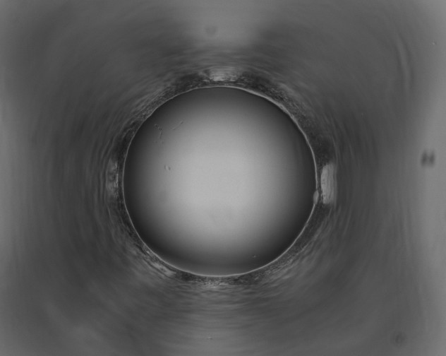 X0000091241443200708231706