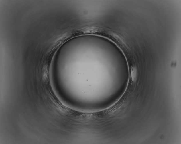 X0000091241444200708231706