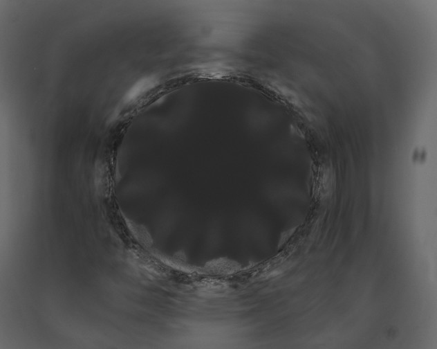 X0000091241446200708231706