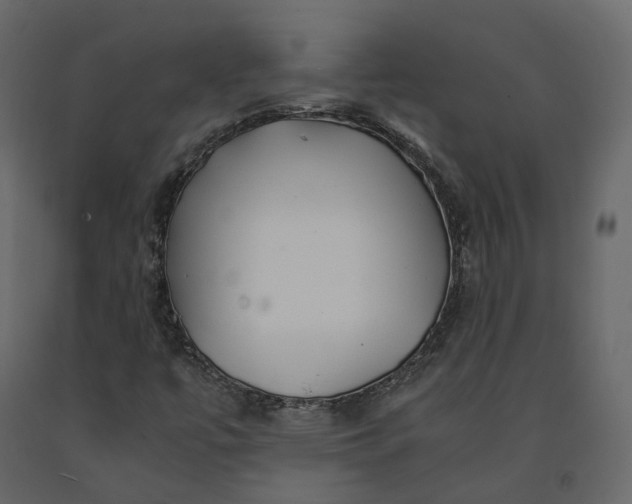 X0000091241447200708231706