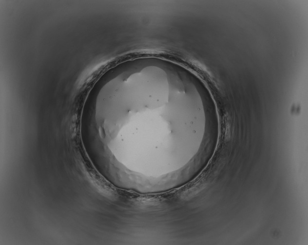 X0000091241448200708231706