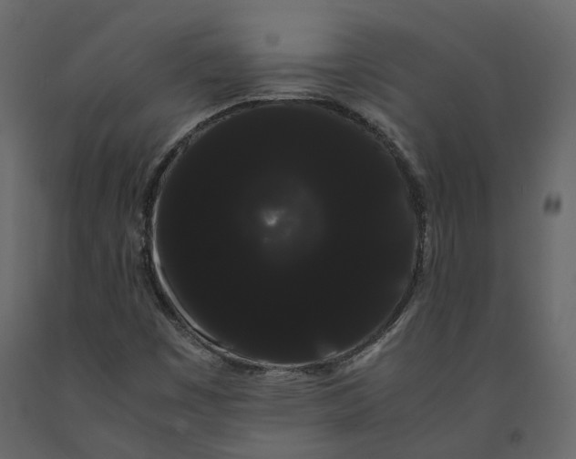 X0000091241449200708231706