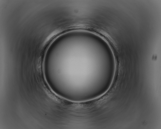 X0000091241450200708231706
