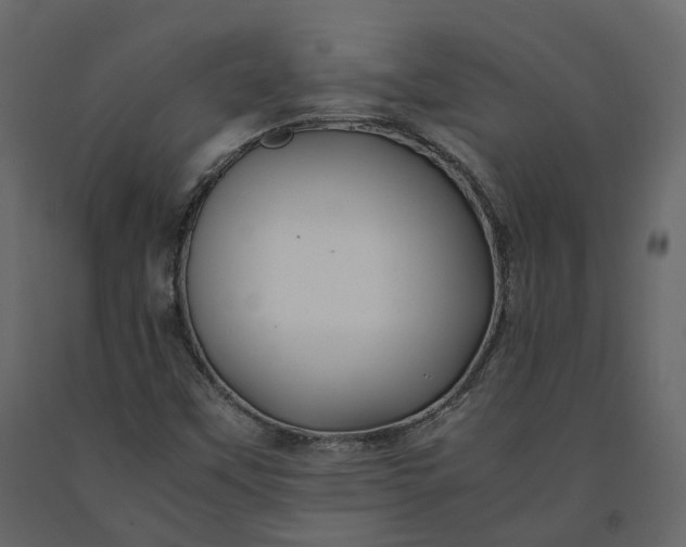 X0000091241451200708231706