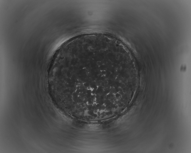 X0000091241453200708231706