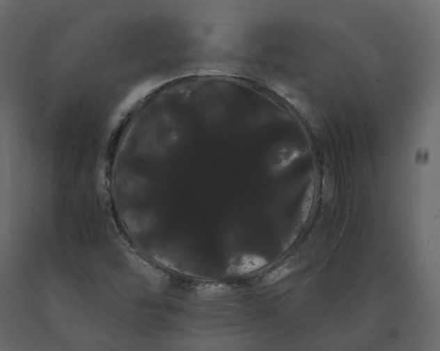 X0000091241454200708231706