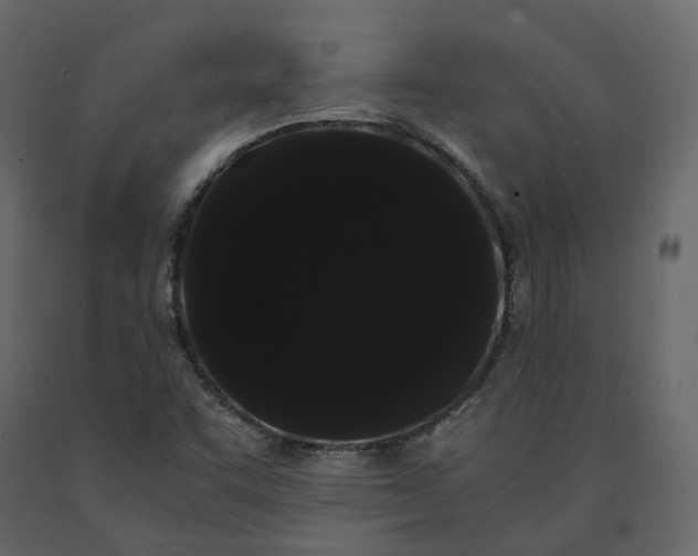 X0000091241455200708231706