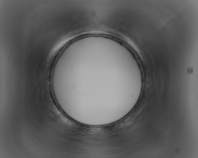 X0000091241456200708231706
