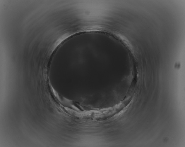 X0000091241457200708231706