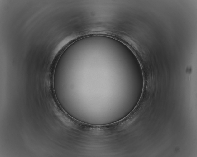 X0000091241458200708231706