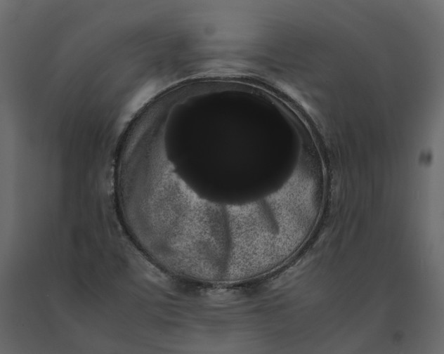 X0000091241459200708231706