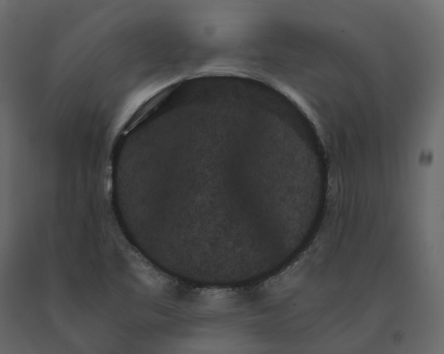 X0000091241461200708231706