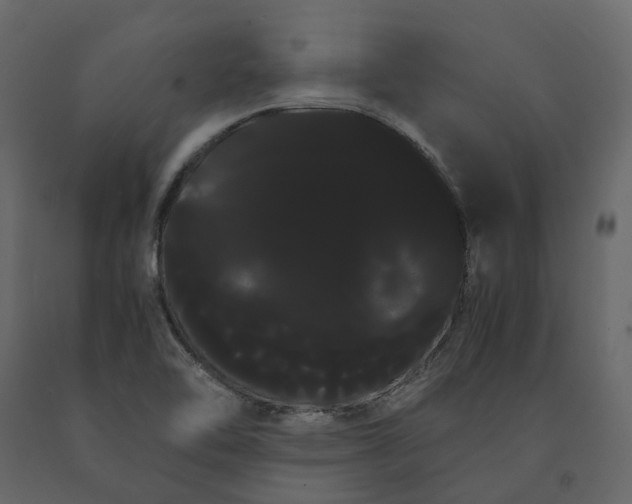 X0000091241462200708231706