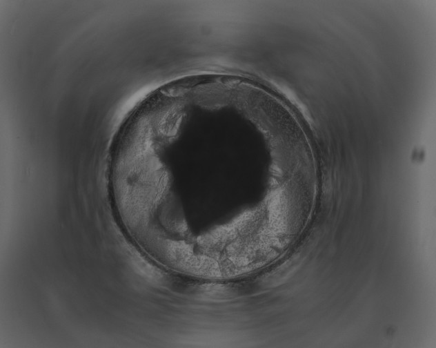 X0000091241463200708231706