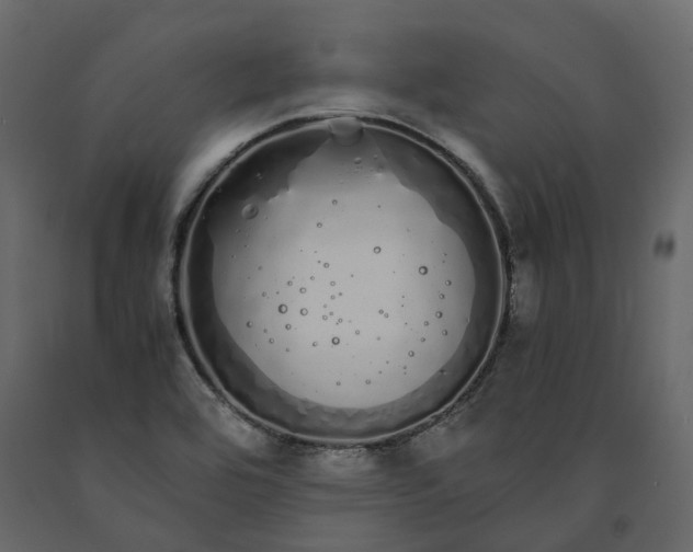 X0000091241464200708231706