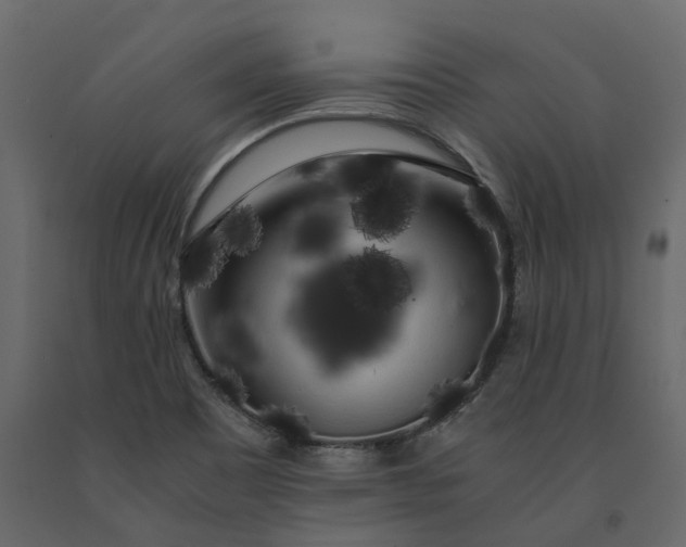 X0000091241465200708231706