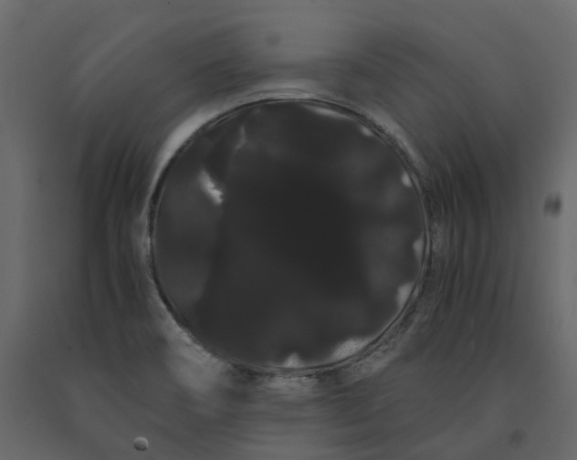 X0000091241466200708231706