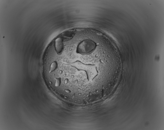 X0000091241467200708231706