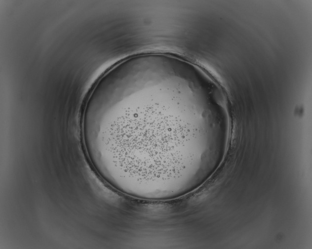 X0000091241468200708231706