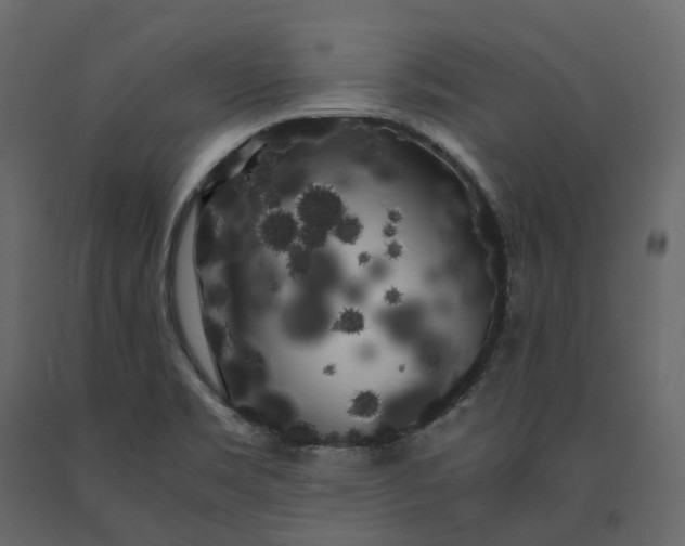 X0000091241469200708231706