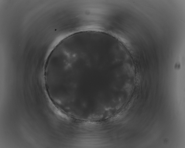 X0000091241470200708231706
