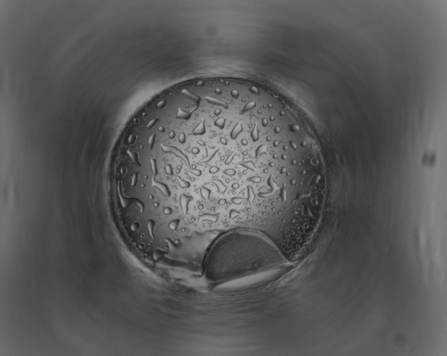 X0000091241471200708231706