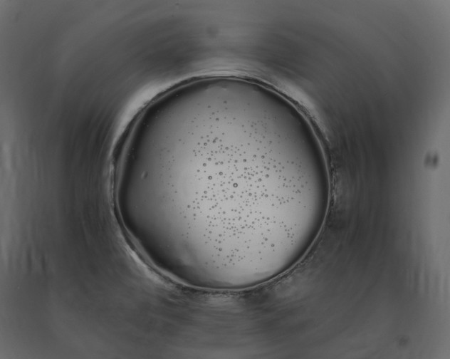 X0000091241472200708231706