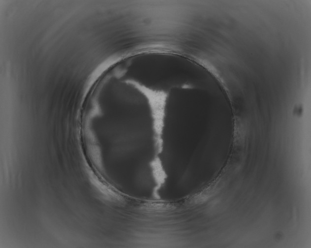 X0000091241474200708231706