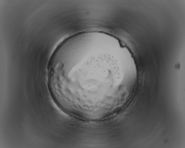 X0000091241476200708231706