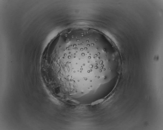 X0000091241477200708231706