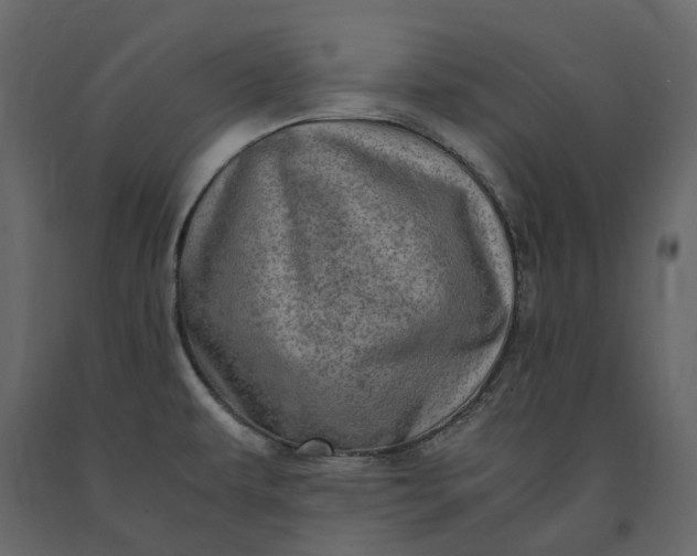 X0000091241479200708231706
