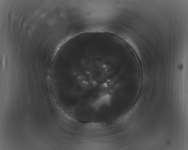 X0000091241481200708231706