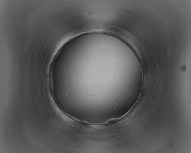 X0000091241483200708231706