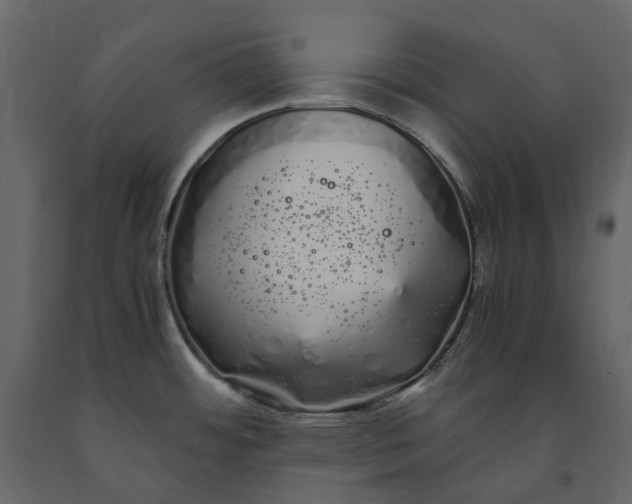 X0000091241484200708231706