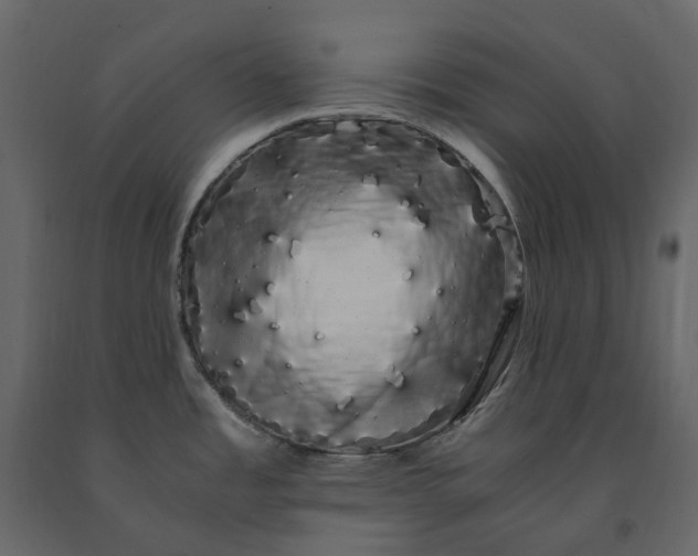 X0000091241485200708231706