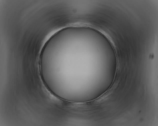 X0000091241486200708231706
