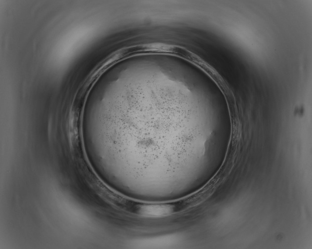 X0000091241487200708231706