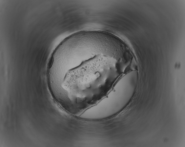 X0000091241488200708231706