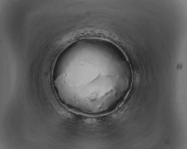 X0000091241489200708231705