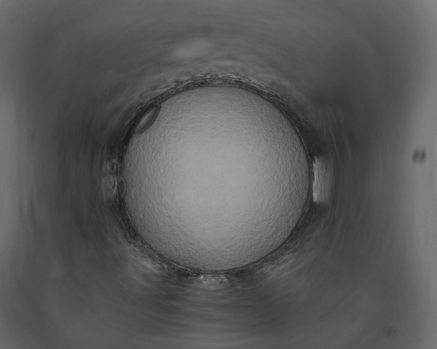 X0000091241491200708231705