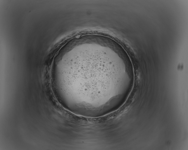 X0000091241494200708231705