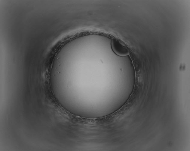 X0000091241495200708231705