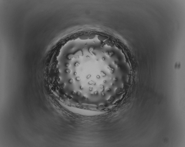 X0000091241496200708231705