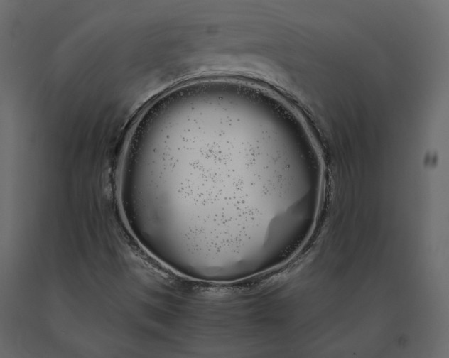 X0000091241497200708231705